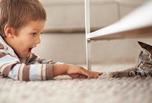 Kids, Pets, and Carpet