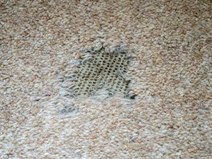 Got a Tear or Hole in your Carpet? Here’s What To Do