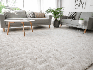 Can Your Carpet Help Clean the Air You Breathe?